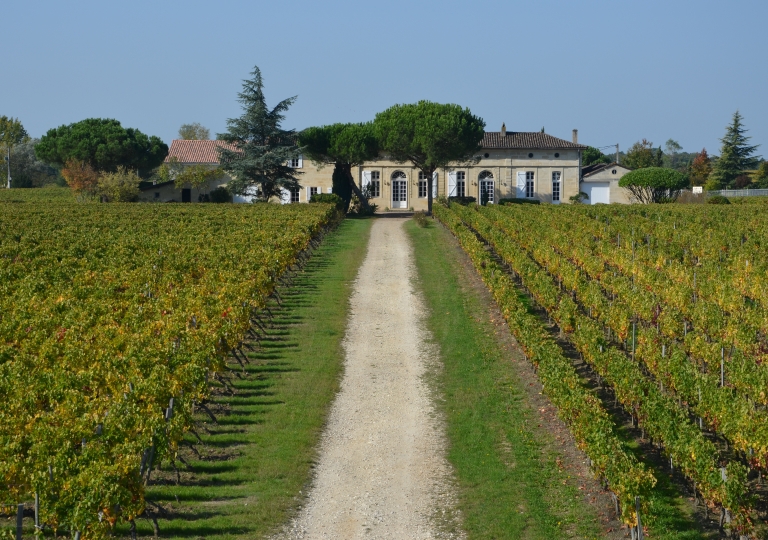 Château Bel-Air - The Estate