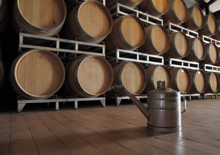 Les chais - The cellars